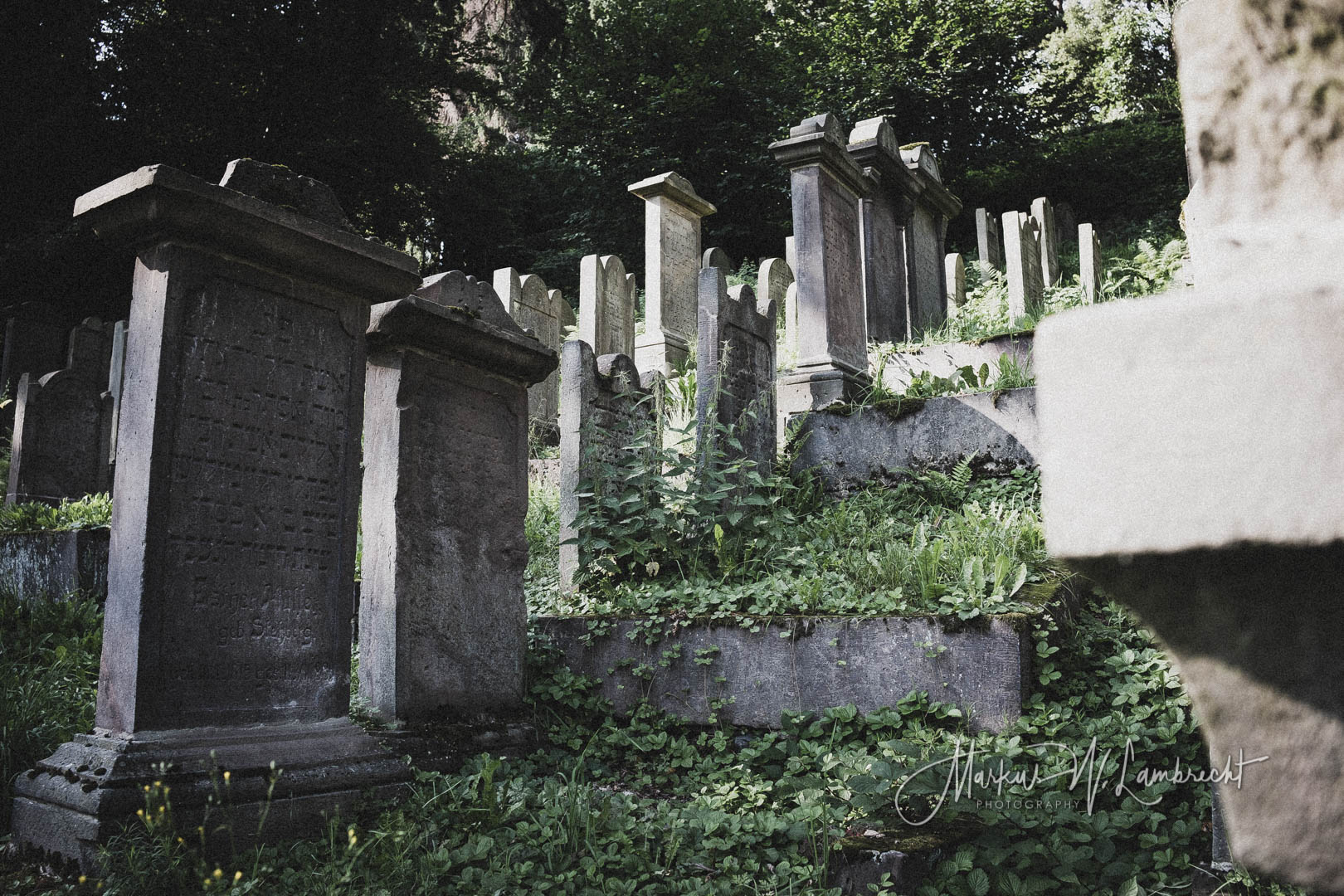 Adelebsen, Jüdischer Friedhof